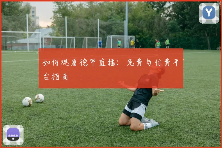 如何观看德甲直播:免费与付费平台指南